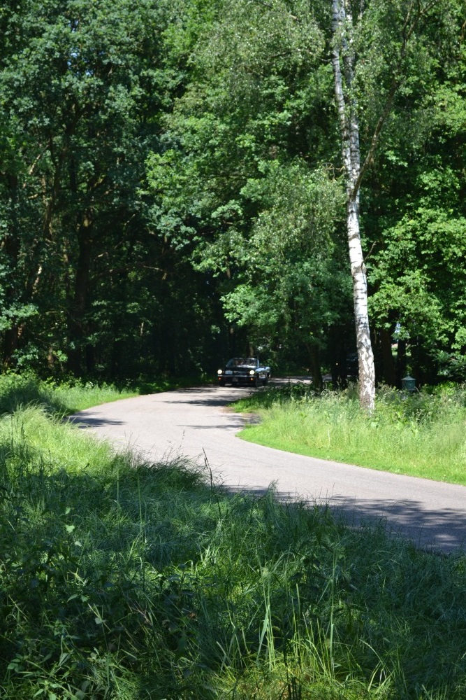 Oldtimerrit Geesteren 5 juni 2016 - 110